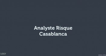 Analyste Risque