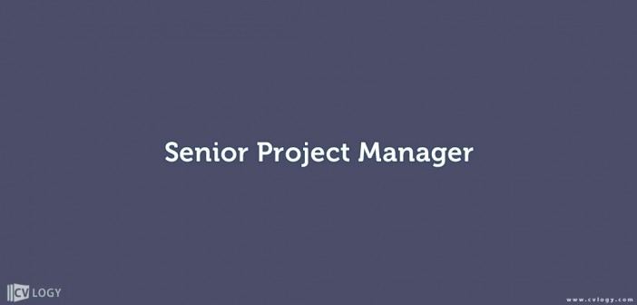 Senior project manager