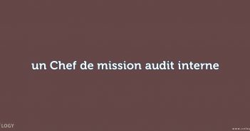 un Chef de mission audit interne