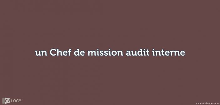 un Chef de mission audit interne