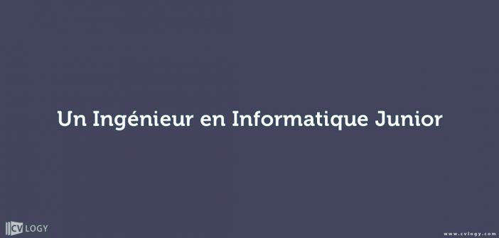 Ingénieur Informatique Junior