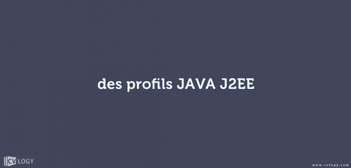 des profils JAVA J2EE