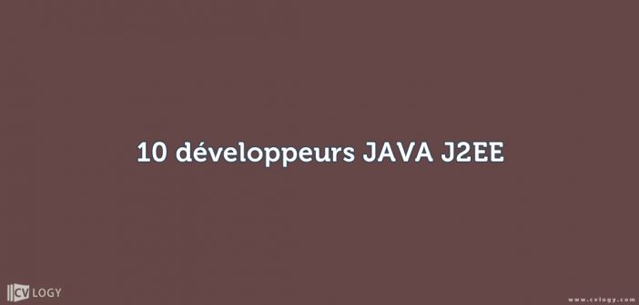 10 développeurs JAVA J2EE