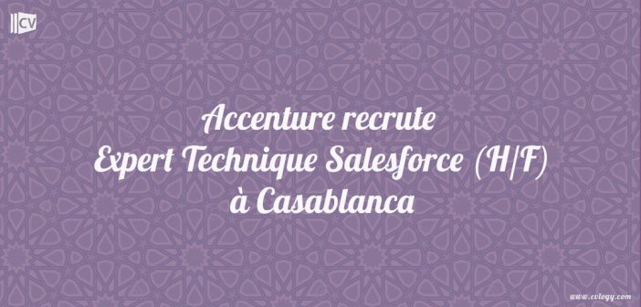 Expert Technique Salesforce (H/F)