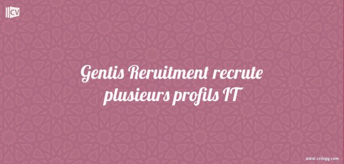 recrute plusieurs profils IT