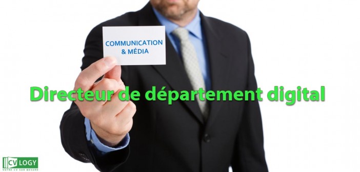 Emploi Directeur digital