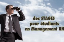 Offre de stages