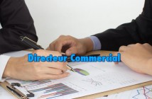 Directeur Commercial Maroc