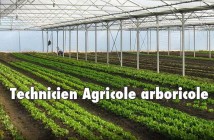 Poste Technicien Agricole arboricole