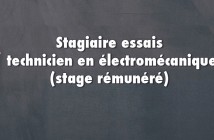 stagiaire-essais