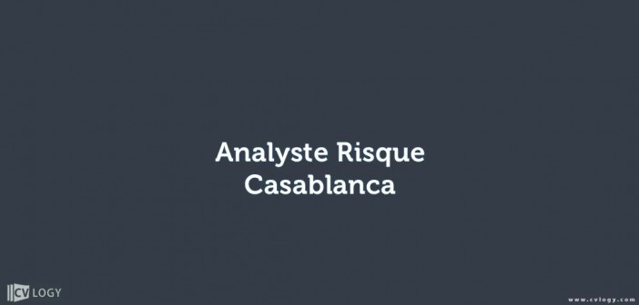 Analyste Risque