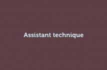 Assistant technique