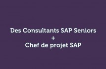 Chef-de-projet-SAP