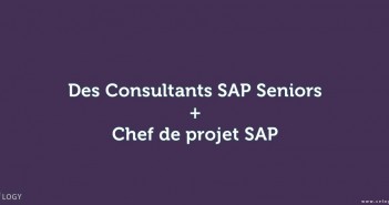 Chef-de-projet-SAP