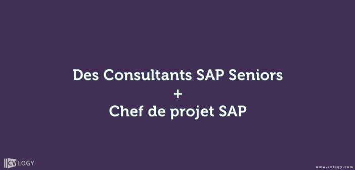 Chef-de-projet-SAP