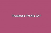 Plusieurs Profils SAP