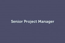 Senior project manager