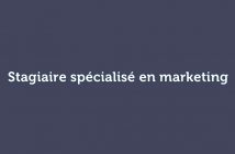 Stagiaire specialisé en marketing