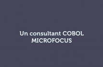 Un consultant COBOL MICROFOCUS