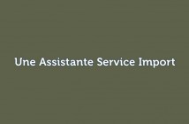 Une Assistante Service Import