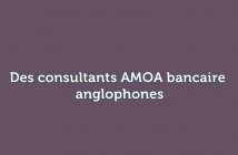 consultants AMOA bancaire anglophones