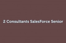 Recrutement salesforce Senior