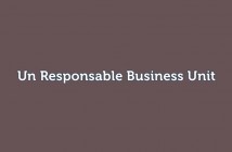 un Responsable Business Unit