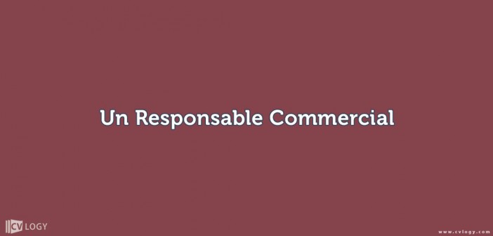 un Responsable Commercial Maroc