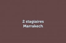 2 stagiaires