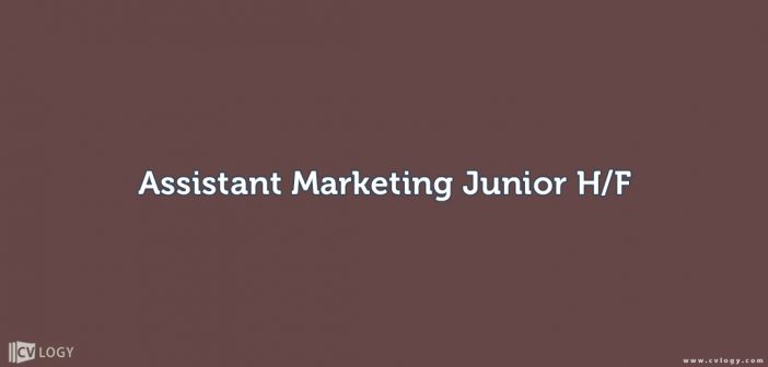 Assistant Marketing Junior H/F