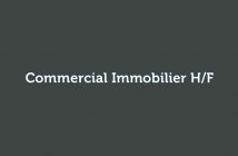 Commercial Immobilier H/F