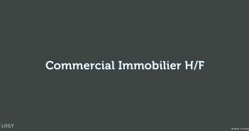 Commercial Immobilier H/F