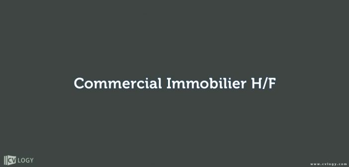 Commercial Immobilier H/F