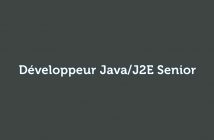 Développeur Java/J2E Senior