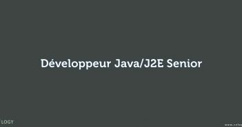 Développeur Java/J2E Senior