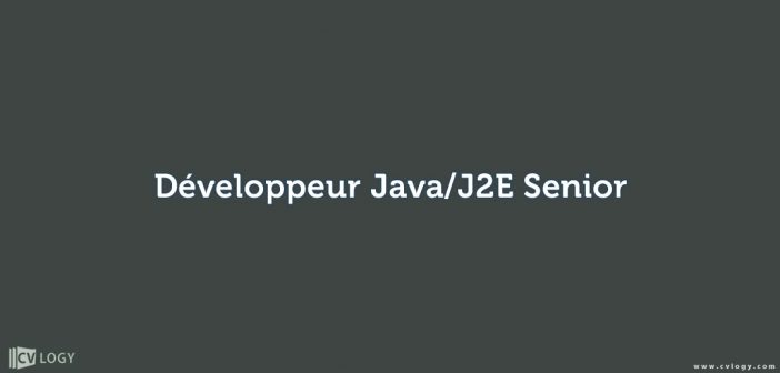 Développeur Java/J2E Senior