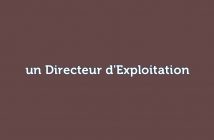 Directeur d'Exploitation