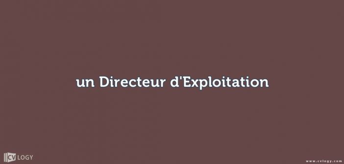 Directeur d'Exploitation