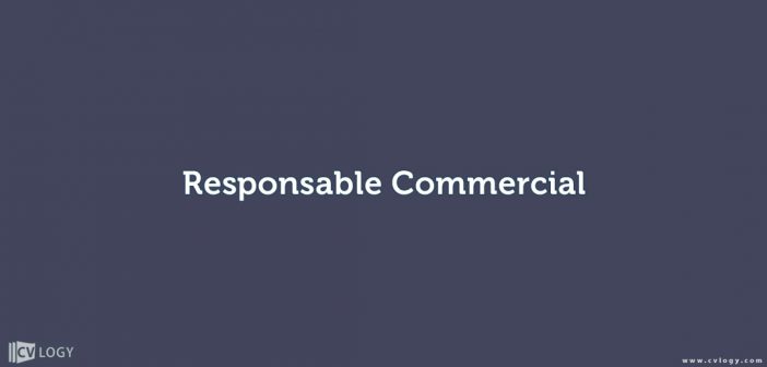 Responsable Commercial