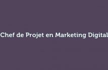 chef de projet en marketing digital