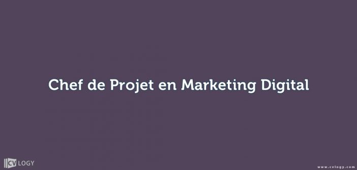 chef de projet en marketing digital