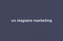 un stagiaire marketing