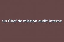 un Chef de mission audit interne