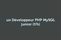 un Développeur PHP MySQL - junior (f/h)