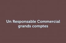 un Responsable Commercial grands comptes