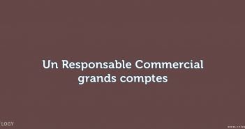 un Responsable Commercial grands comptes