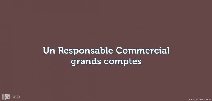 un Responsable Commercial grands comptes