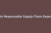 Responsable Supply Chain Expert