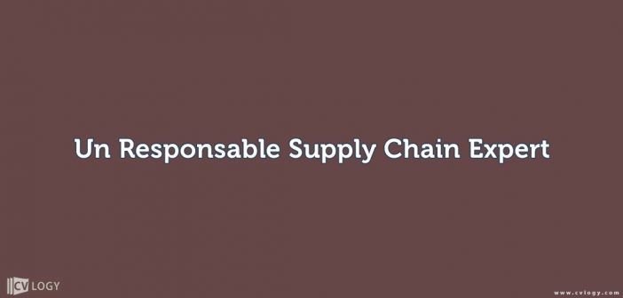 Responsable Supply Chain Expert