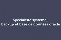 Spécialiste système, backup et base de données oracle